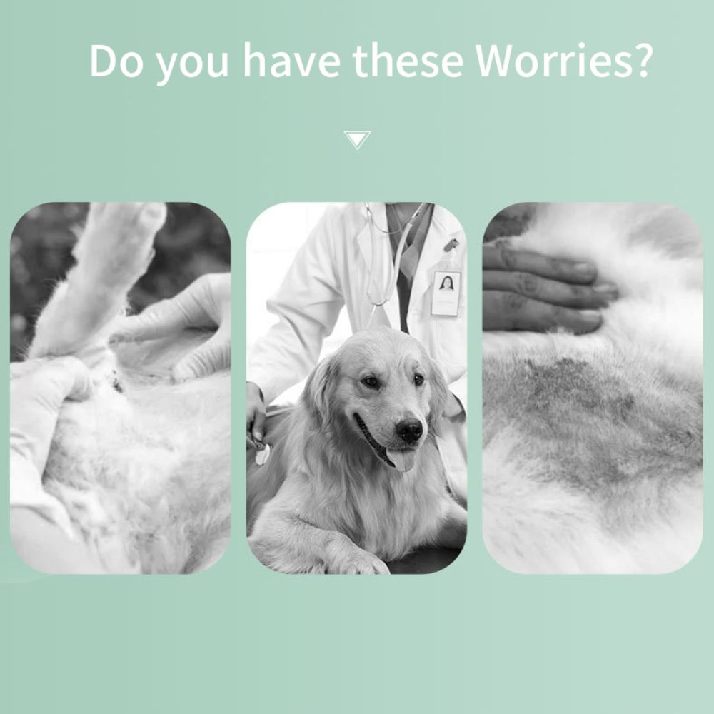 Pet Dog Repellent Collar, Cat Anti-flea Collar, Anti-lice External Neck Collar, Pet Flea Collar, Pet Supplies For Going Out Adjustable Dog Calming Collars